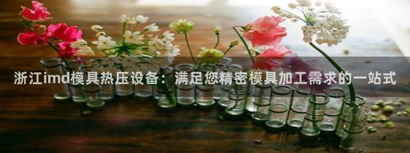 易倍单词app：浙江imd模具热压设备：满足您精密模具加