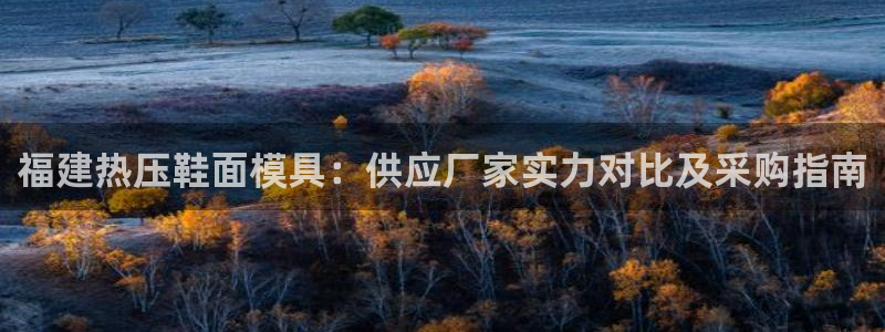 易倍纤奶昔减肥效果怎么样：福建热压鞋面模具：供应厂家实力