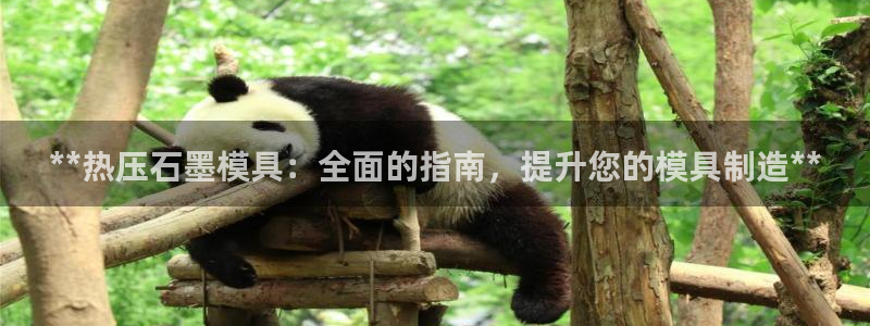 易倍纤能减肥吗：**热压石墨模具：全面的指南，提升您的模