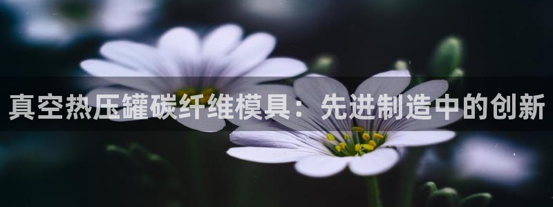 北京易倍思教育科技有限公司：真空热压罐碳纤维模具：先进制