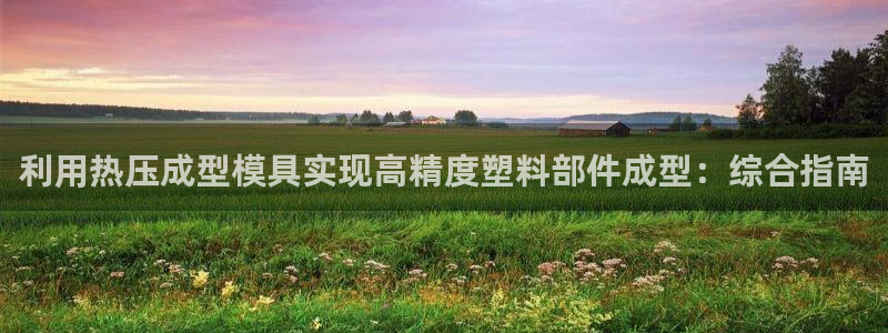 易倍申有用吗：利用热压成型模具实现高精度塑料部件成型：综