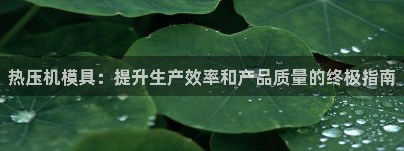 emc32软件：热压机模具：提升生产效率和产品质量的终极