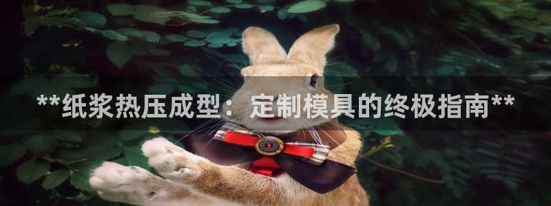 emc平台：**纸浆热压成型：定制模具的终极指南**