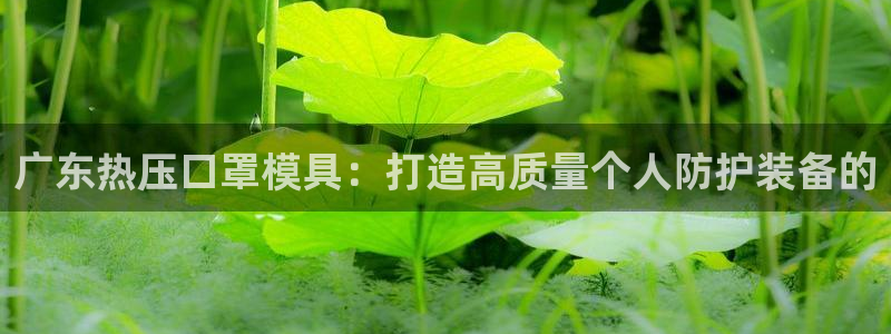 易倍单词app：广东热压口罩模具：打造高质量个人防护装备
