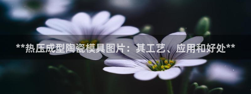 emc易倍穆里尼奥：**热压成型陶瓷模具图片：其工艺、应