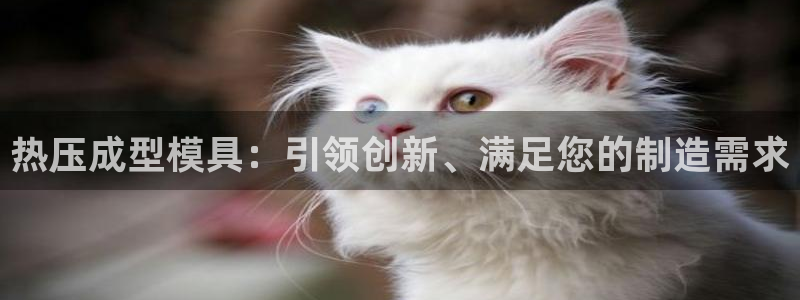 易倍申安理申区别：热压成型模具：引领创新、满足您的制造需