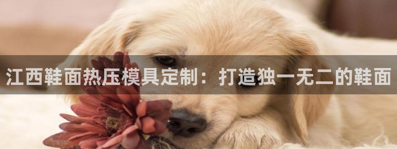 易倍emc网址网页版本登陆：江西鞋面热压模具定制：打造独