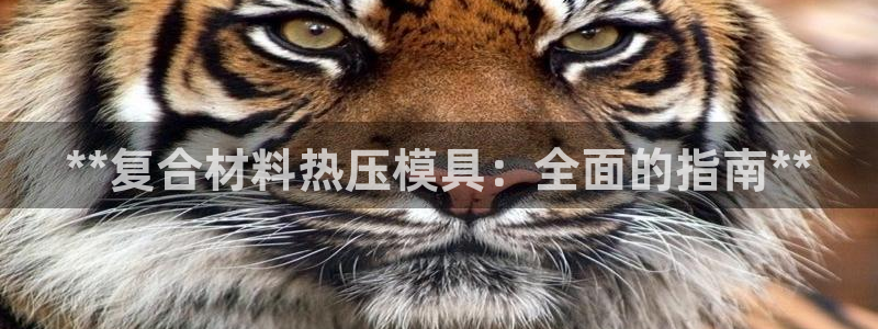 emc全站网页版：**复合材料热压模具：全面的指南**