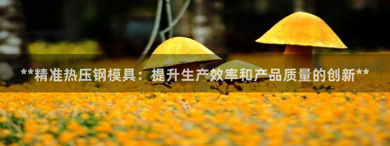 emc低频不过：**精准热压钢模具：提升生产效率和产品质
