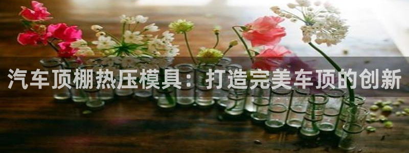 易倍申在中国成功上市：汽车顶棚热压模具：打造完美车顶的创