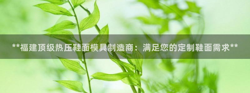 易倍网络技术有限公司：**福建顶级热压鞋面模具制造商：满