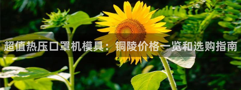 易倍纤多少钱：超值热压口罩机模具：铜陵价格一览和选购指南