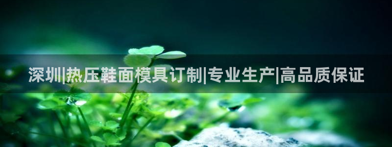 emc app下载：深圳|热压鞋面模具订制|专业生产|高