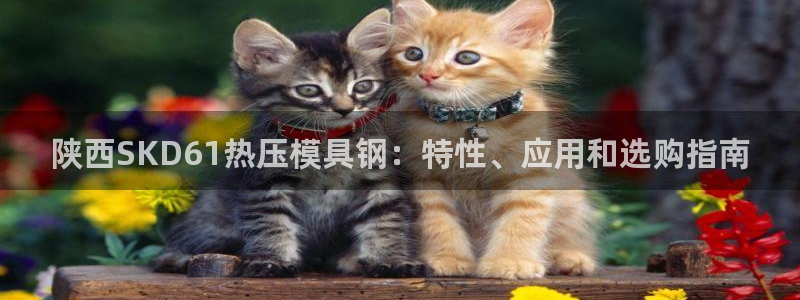 易倍纤价格