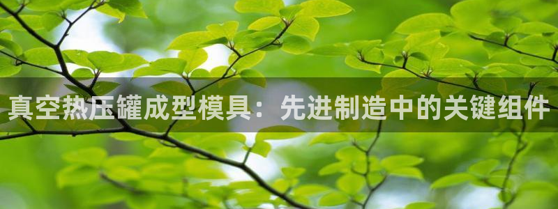 emc易倍首存500送球衣
