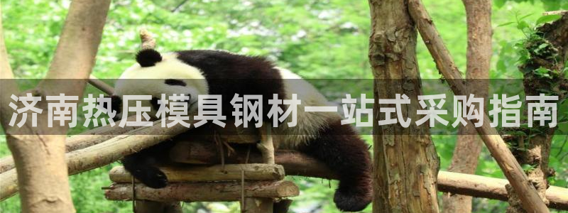 北京易倍思教育怎么样