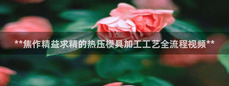 EMC易倍官方平台：**焦作精益求精的热压模具加工工艺全