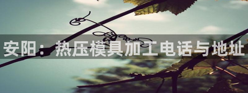 易倍申医保报销