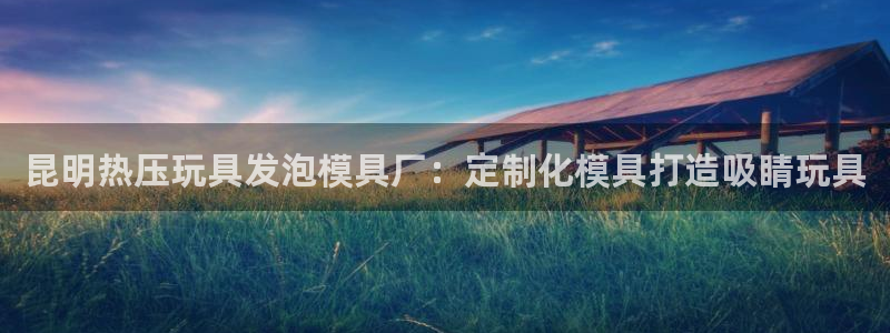 易倍申的价格