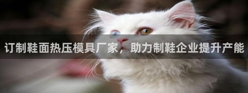 易倍申和易倍清的区别