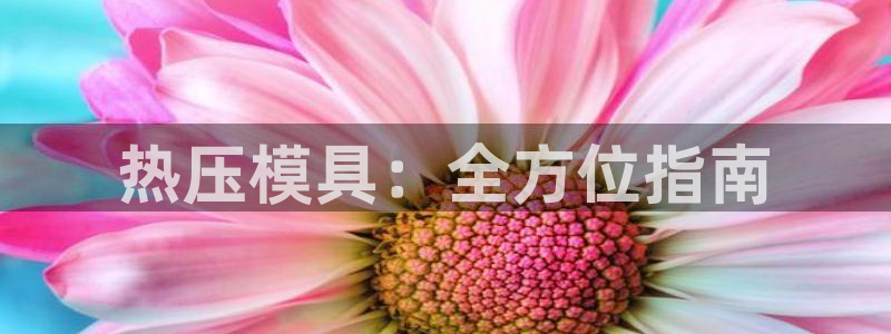 易倍纤代餐粉能减肥吗：热压模具：全方位指南