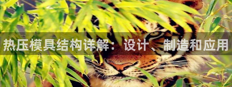 emc易倍的服务优势