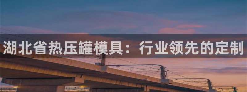 易倍纤使用方法：湖北省热压罐模具：行业领先的定制