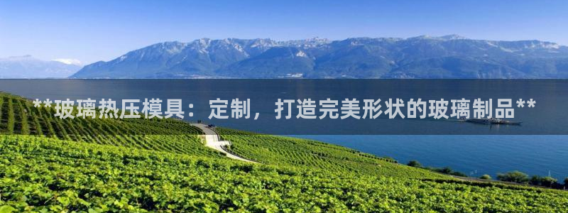 emc服务器是什么：**玻璃热压模具：定制，打造完美形状