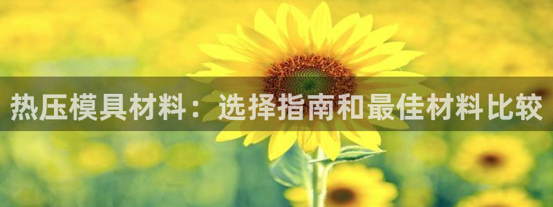 emc易倍官网：热压模具材料：选择指南和最佳材料比较