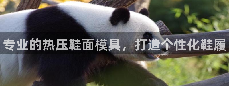 emc易倍ios官网