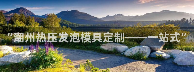 易倍全站下载：“潮州热压发泡模具定制——一站式”