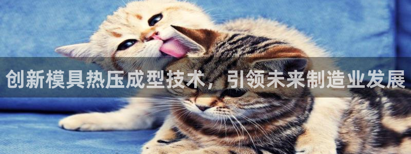 emc全站ag