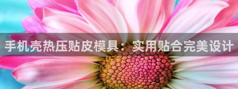 emcapp下载普通下载：手机壳热压贴皮模具：实用贴合完