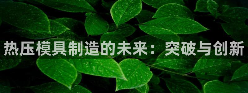 易倍单词如何下载：热压模具制造的未来：突破与创新