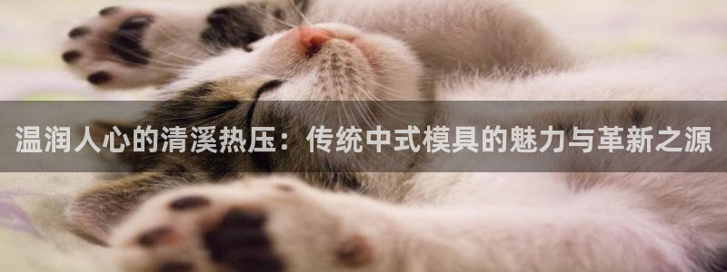 emc易倍账号异常