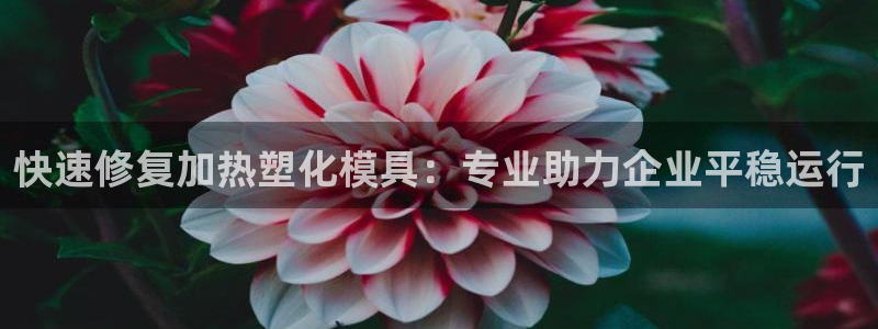 EMC倍频是什么意思：快速修复加热塑化模具：专业助力企业