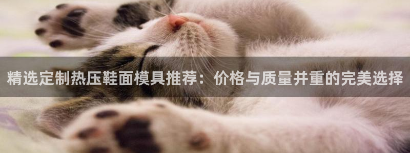 emc全站app下载：精选定制热压鞋面模具推荐：价格与质