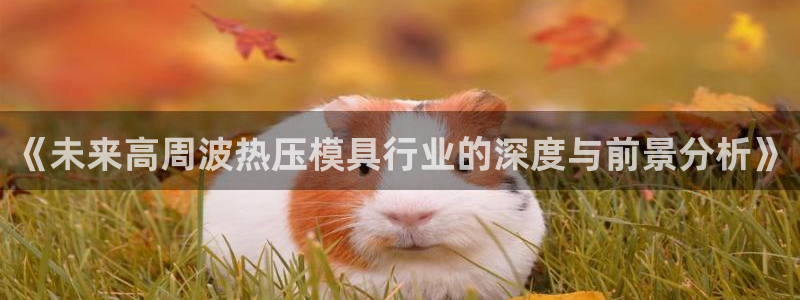 emc易倍怎么样：《未来高周波热压模具行业的深度与前景分