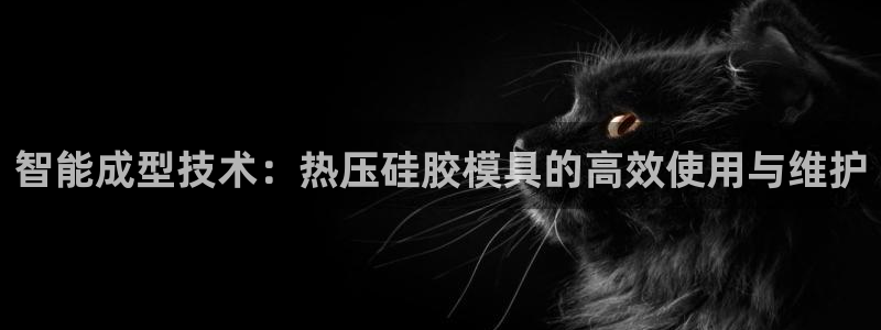 易倍emc网址：智能成型技术：热压硅胶模具的高效使用与维