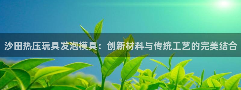 易倍英语官方网站登录：沙田热压玩具发泡模具：创新材料与传