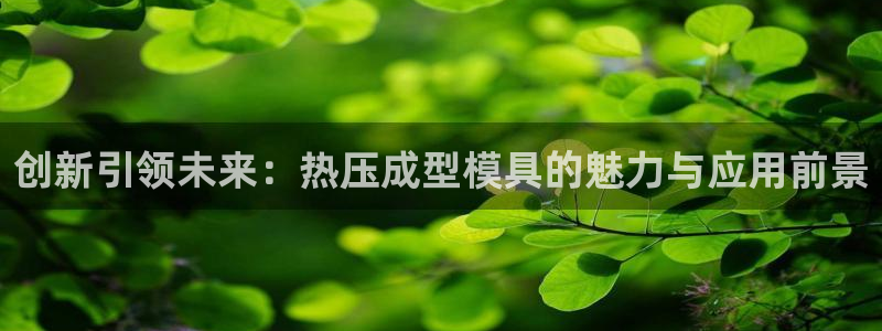 易倍纤多少钱：创新引领未来：热压成型模具的魅力与应用前景
