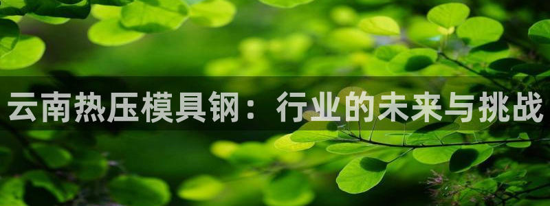 易倍申是进口药吗：云南热压模具钢：行业的未来与挑战