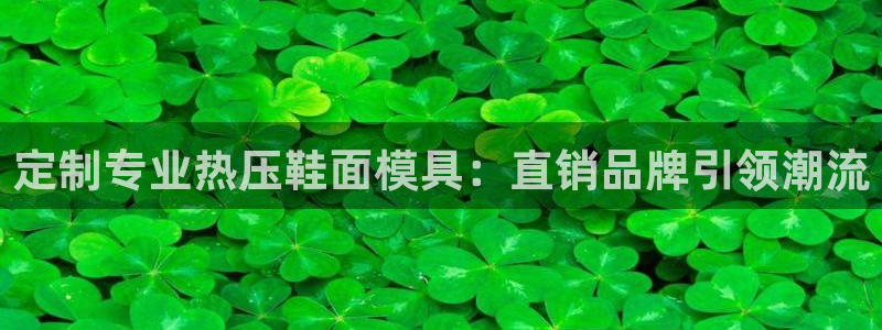 emc高频比低频好改：定制专业热压鞋面模具：直销品牌引领