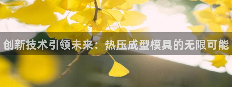 emc倍频超了：创新技术引领未来：热压成型模具的无限可能