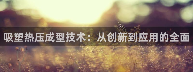 易倍达科技有限公司：吸塑热压成型技术：从创新到应用的全面