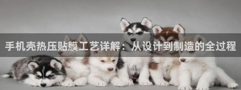 易倍单词官方网站登录：手机壳热压贴膜工艺详解：从设计到制