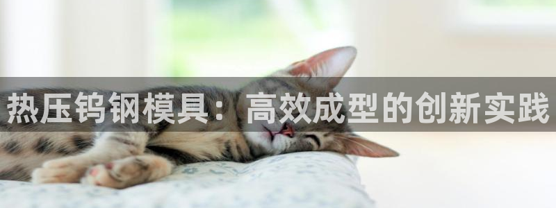 emc易倍账号异常：热压钨钢模具：高效成型的创新实践
