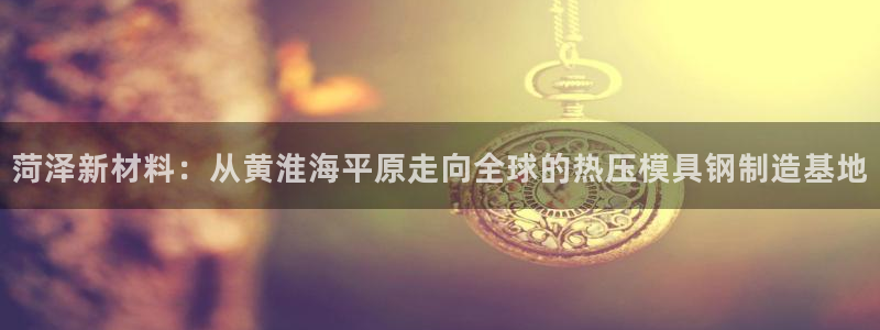 易倍申可以长期服用吗：菏泽新材料：从黄淮海平原走向全球的
