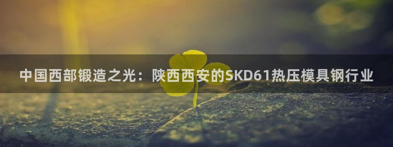 EMC易倍让身份验证