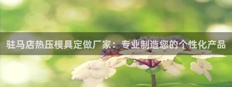 emc32软件：驻马店热压模具定做厂家：专业制造您的个性